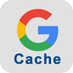 Google Cache Prüfer