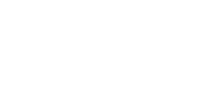 VERZEX Logo DSN White 1