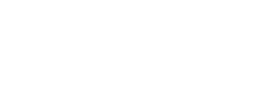 VERZEX Logo DSN White