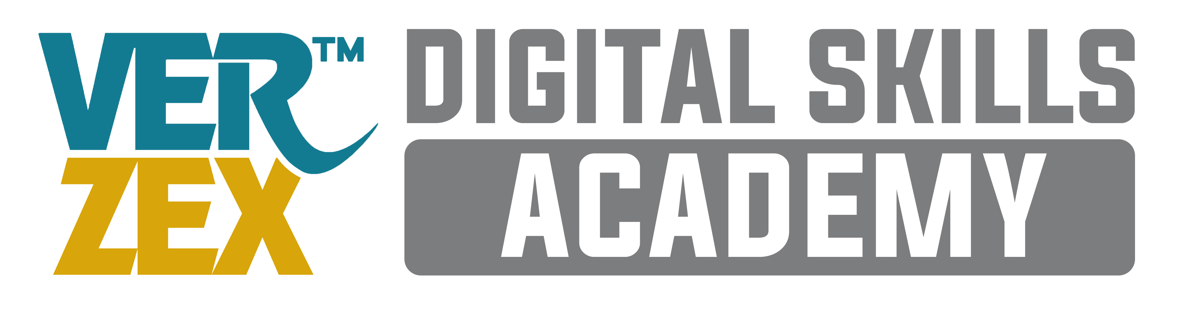 VERZEX Digital Skills Academy Logo