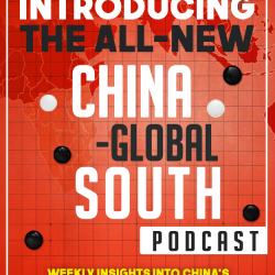 Banner ad 5 Global South Podcast